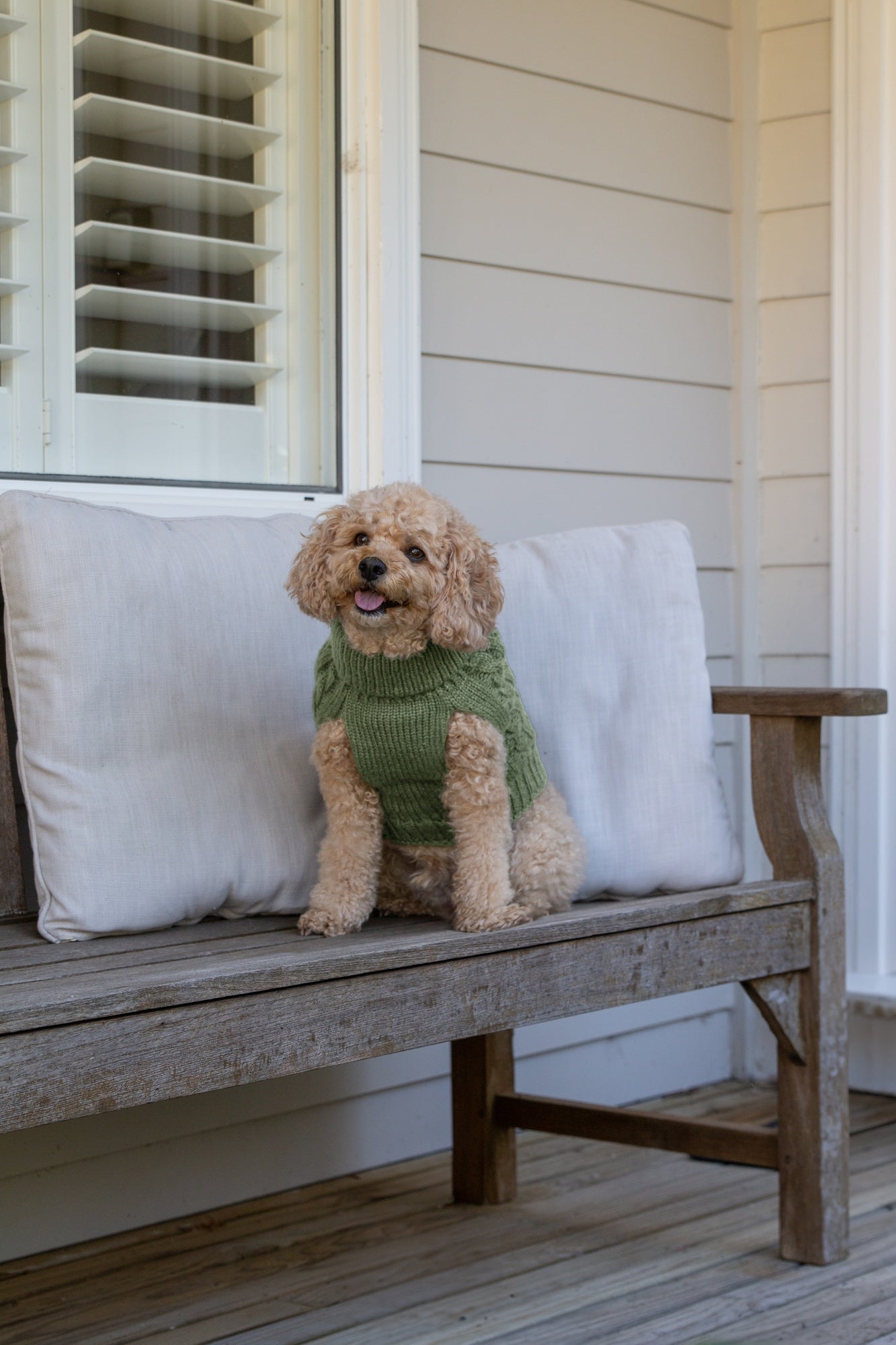 DGG Chunky Knit Dog Jumper Winter Sage