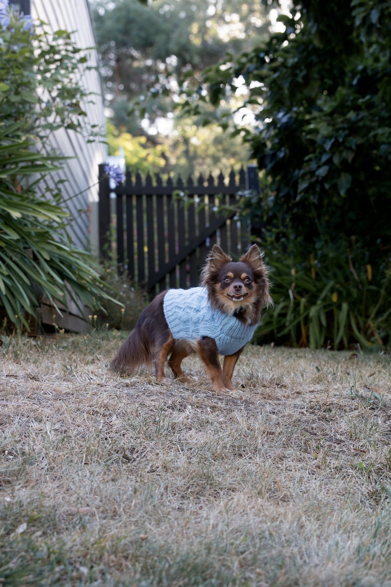 DGG Chunky Knit Dog Jumper Blue