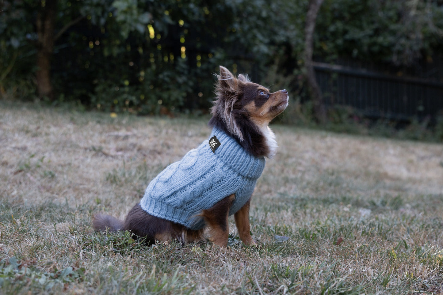 DGG Chunky Knit Dog Jumper Blue