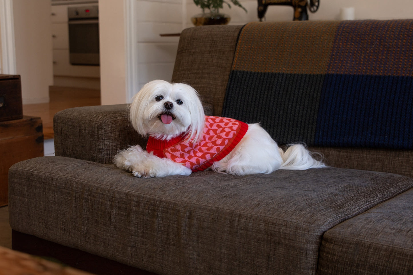 DGG Fashion Knit Dog Jumper Sweetheart