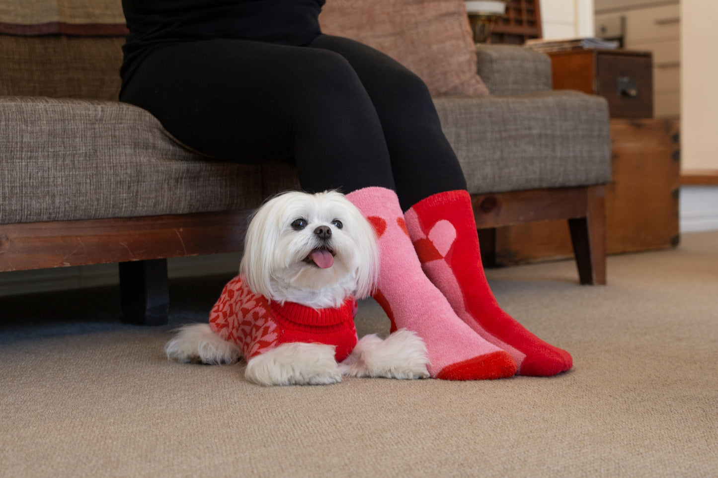 DGG Fashion Knit Dog Jumper Sweetheart