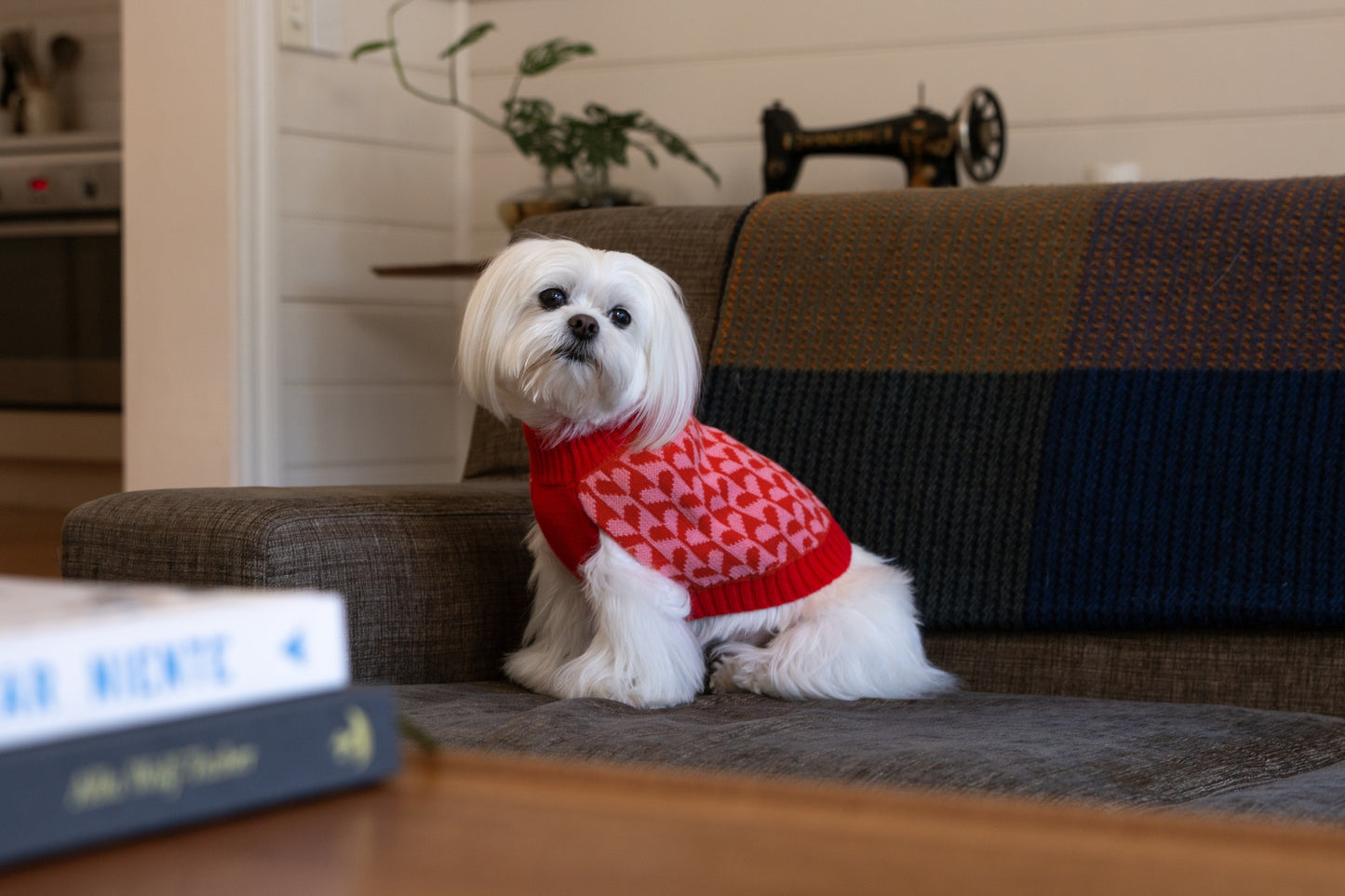 DGG Fashion Knit Dog Jumper Sweetheart