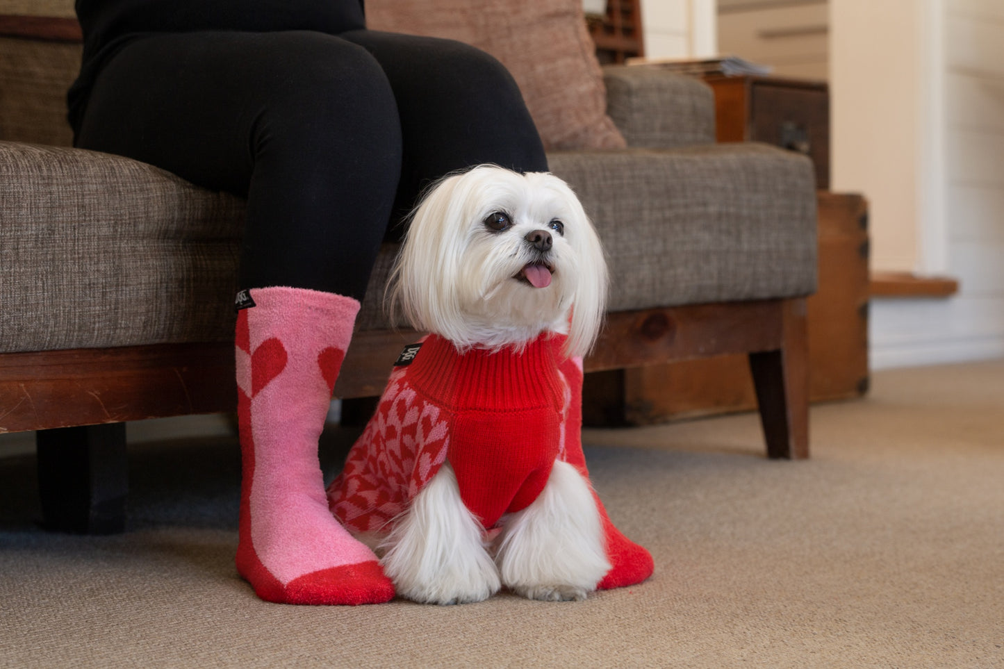 DGG Fashion Knit Dog Jumper Sweetheart