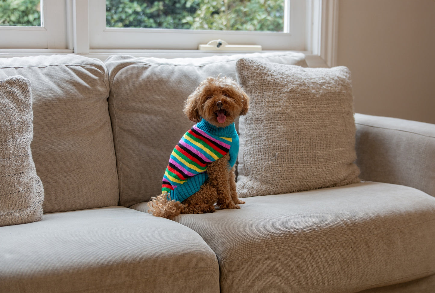 DGG Fashion Knit Dog Jumper Rainbow Stripe