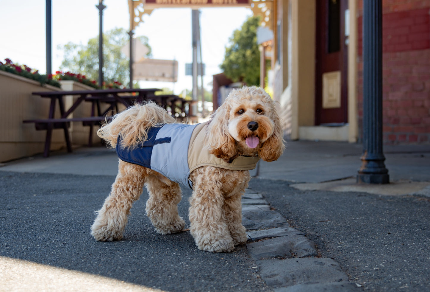 DGG Fashionista Dog Jacket Tri Colour Toastie