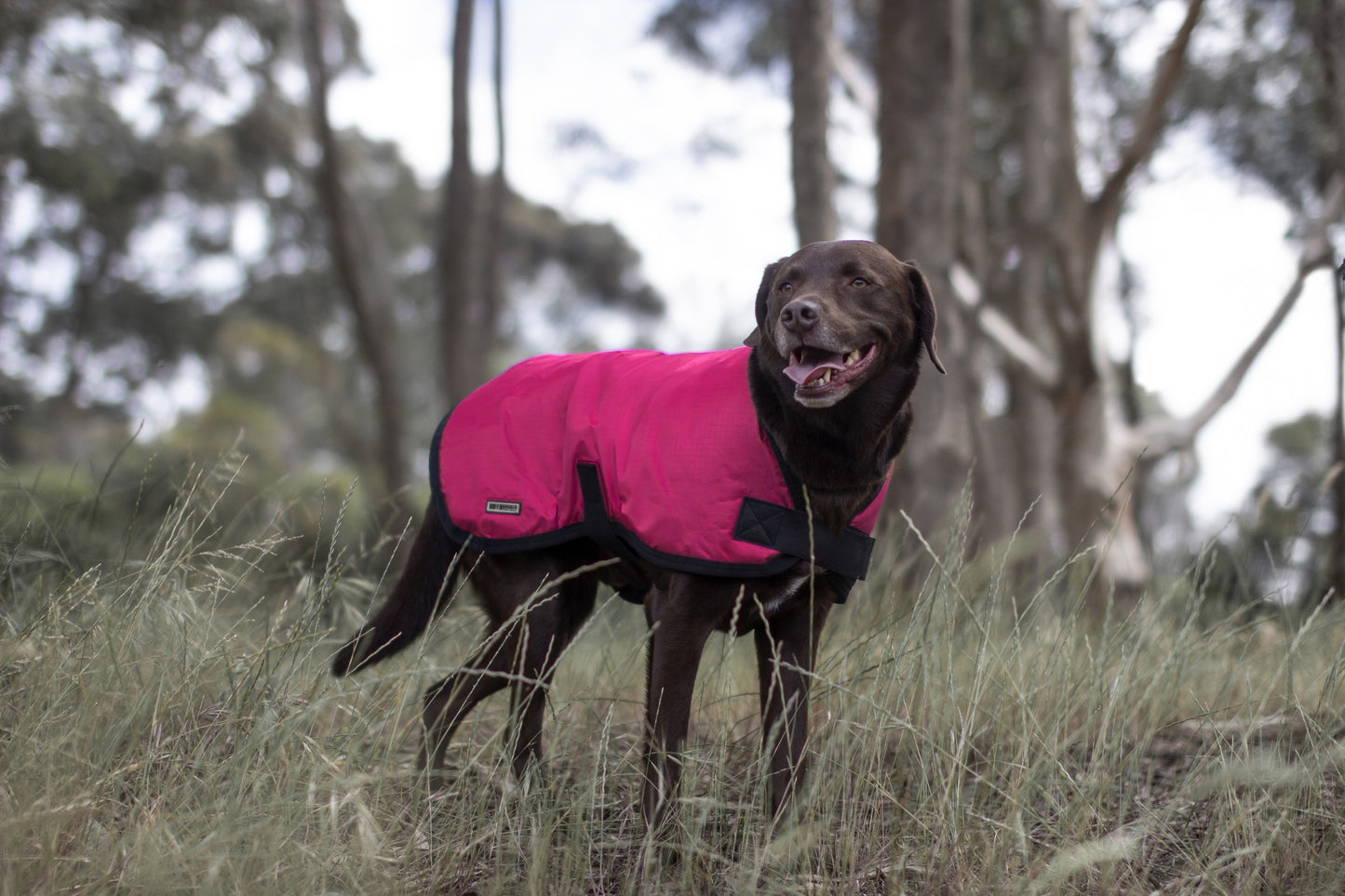 Ruff n Rugged Utility Coat Raspberry