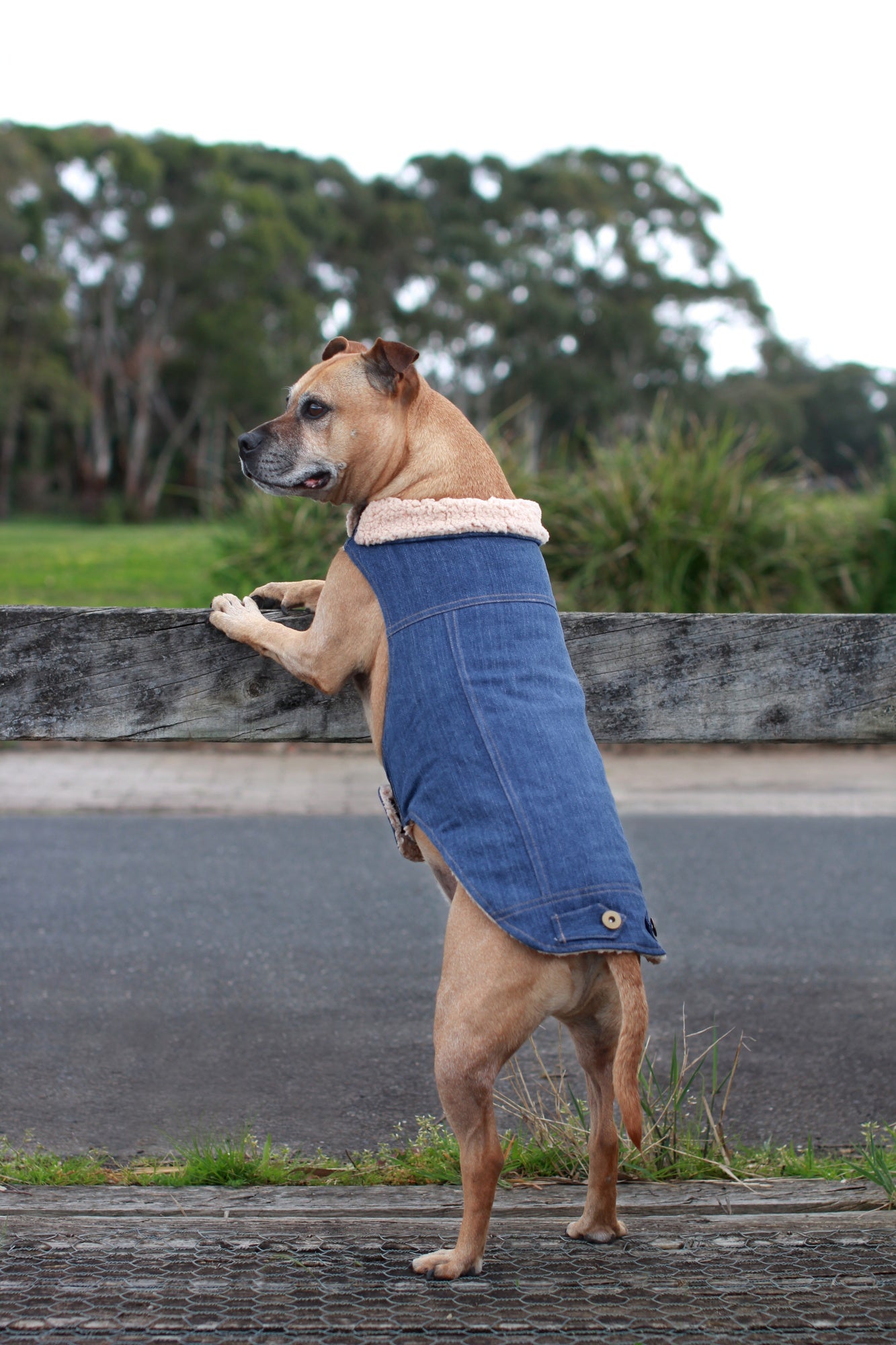 Ruff n Rugged Classic Denim Dog Jacket