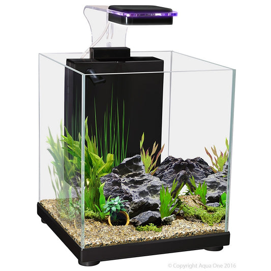 Aqua One Betta Sanctuary Glass Aquarium Black