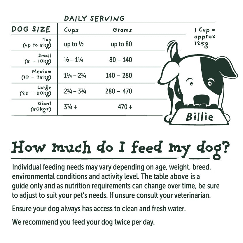 Billie's Bowl Senior with Aussie Fish Dry Dog Food