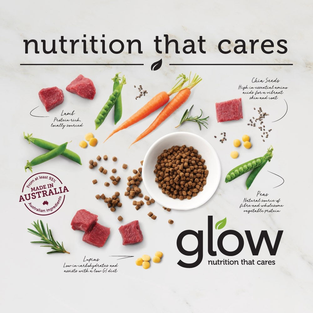 Glow Adult Lamb Dry Dog Food