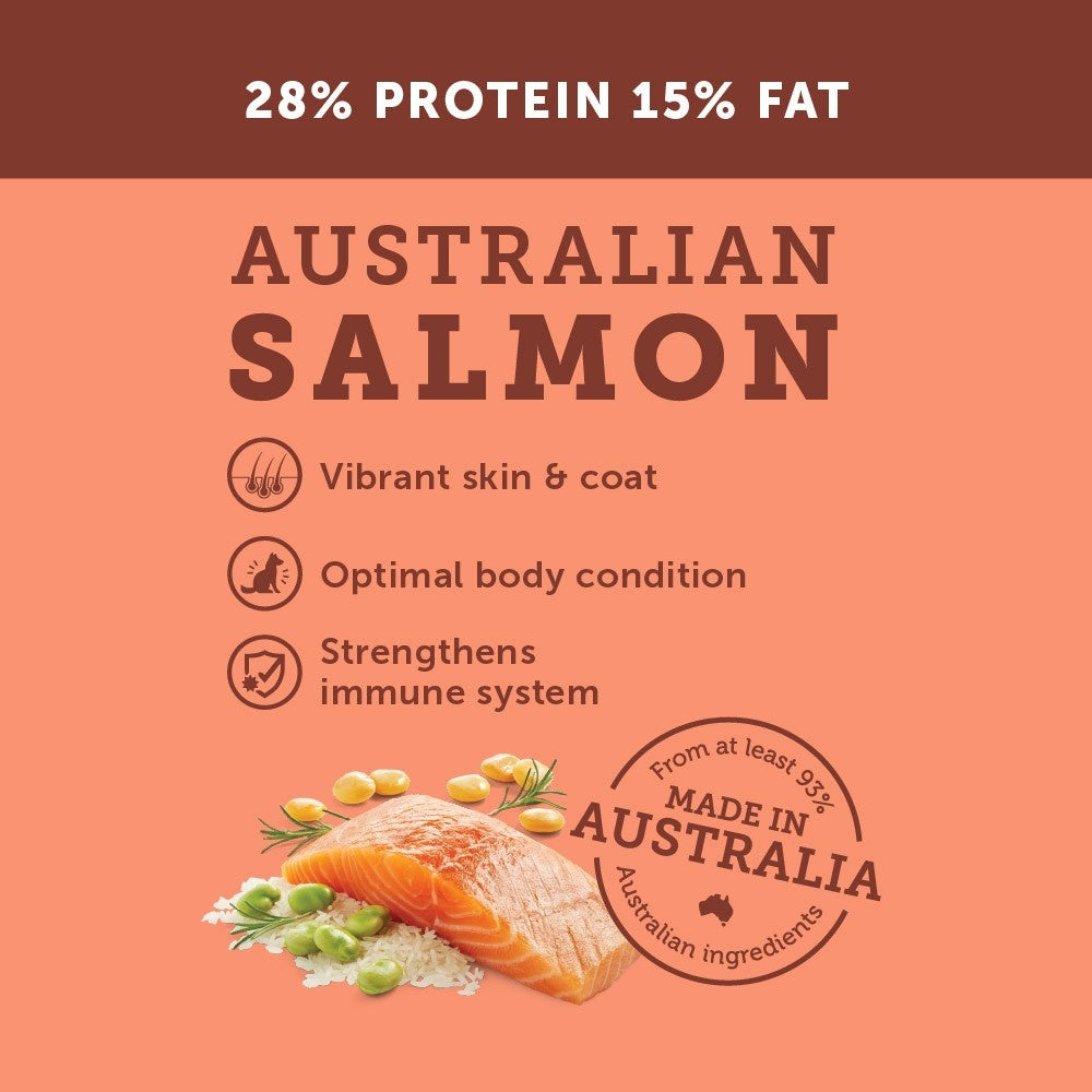 Glow Adult Salmon Dry Dog Food