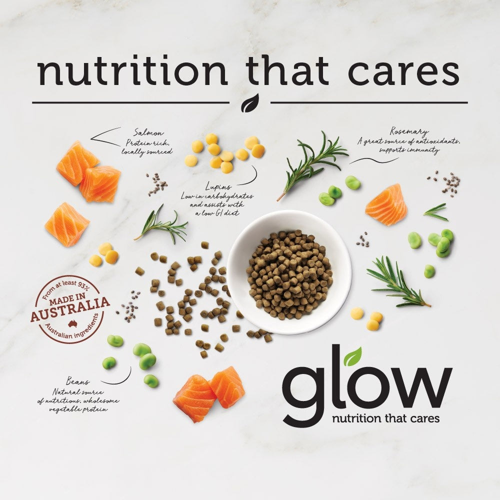 Glow Adult Salmon Dry Dog Food