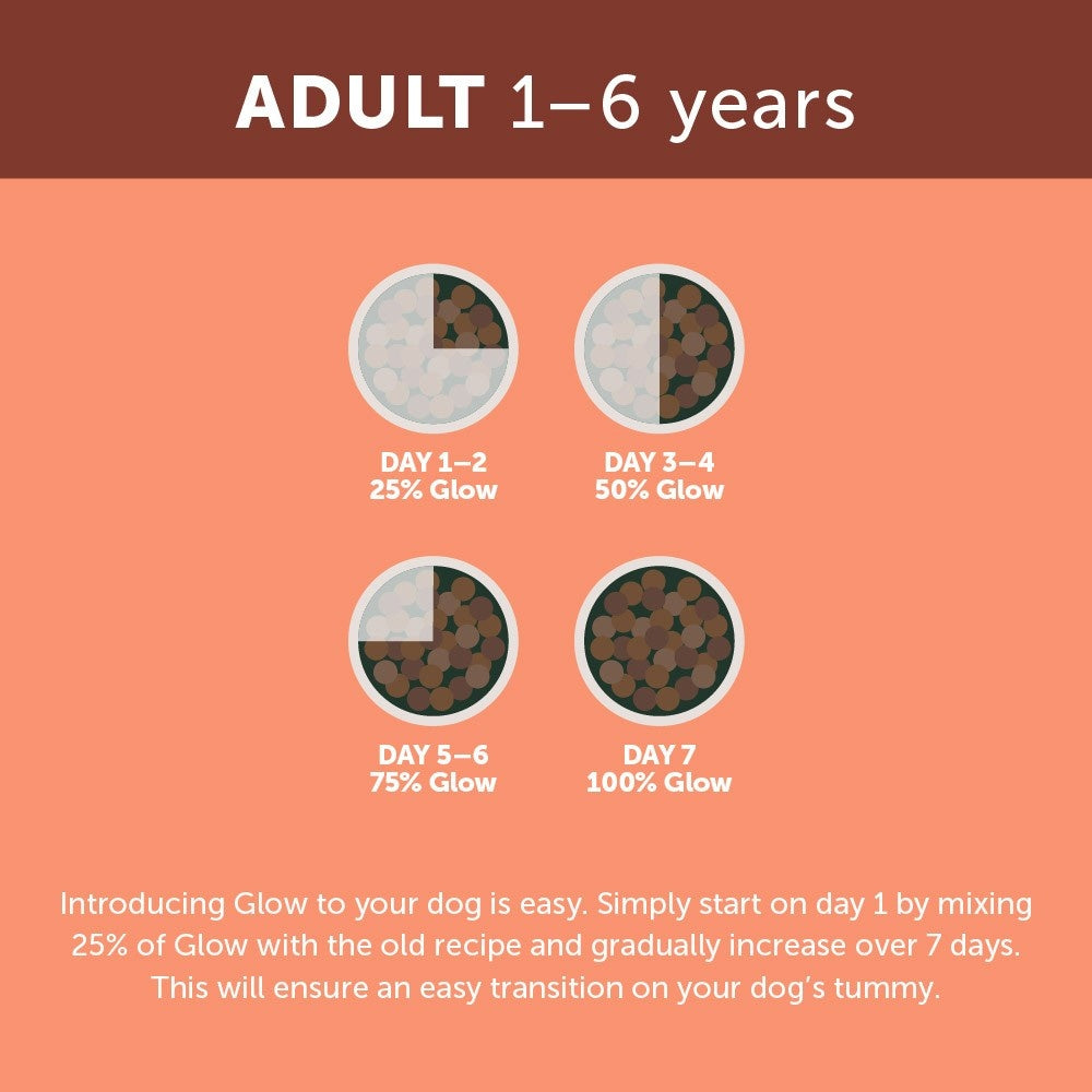 Glow Adult Salmon Dry Dog Food