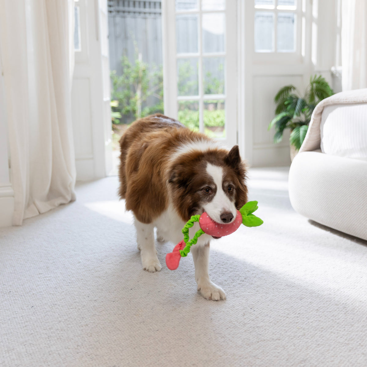 Lexi & Me Shred & Satisfy Strawberry Dog Toy