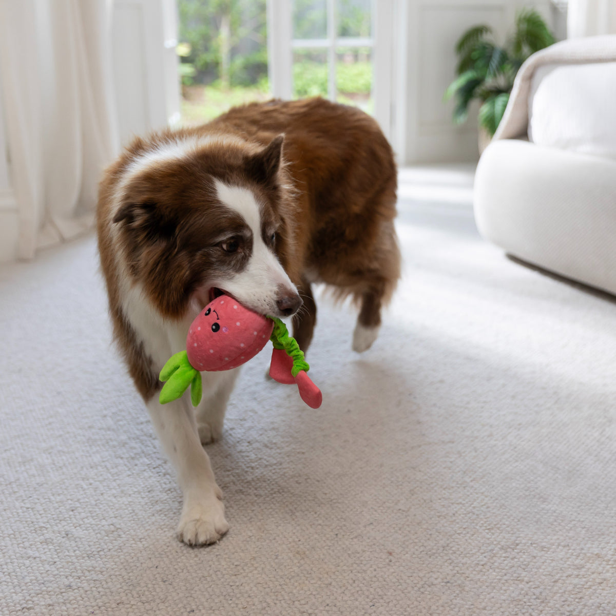 Lexi & Me Shred & Satisfy Strawberry Dog Toy