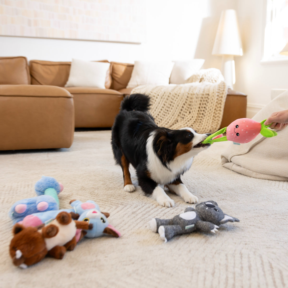Lexi & Me Shred & Satisfy Strawberry Dog Toy