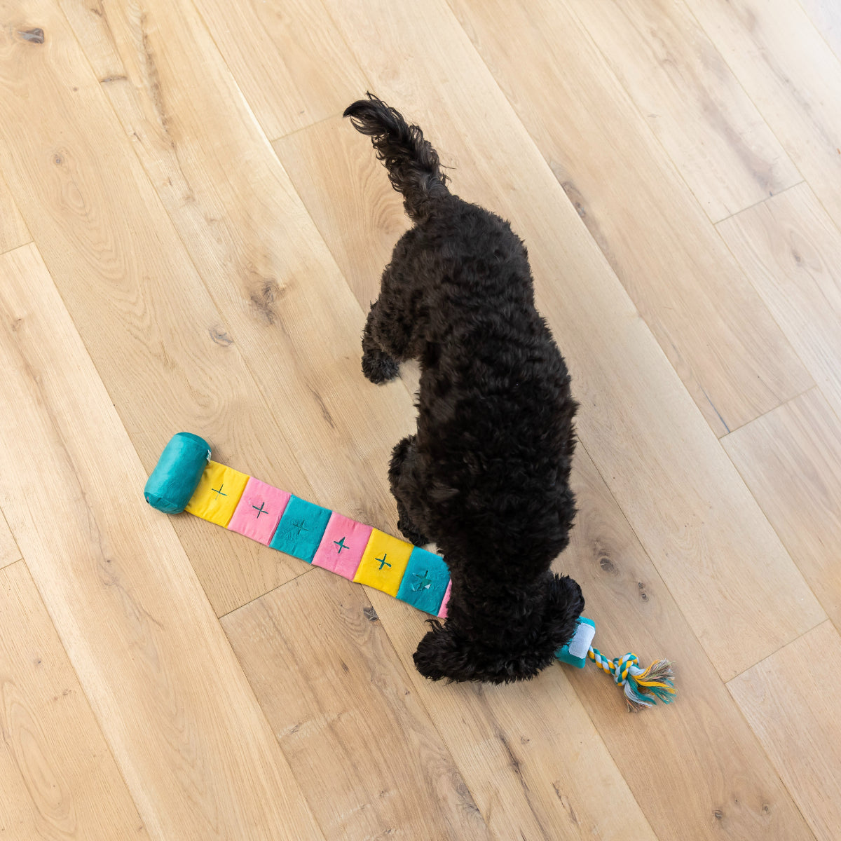 Lexi & Me Lolipop Snuffle Dog Toy