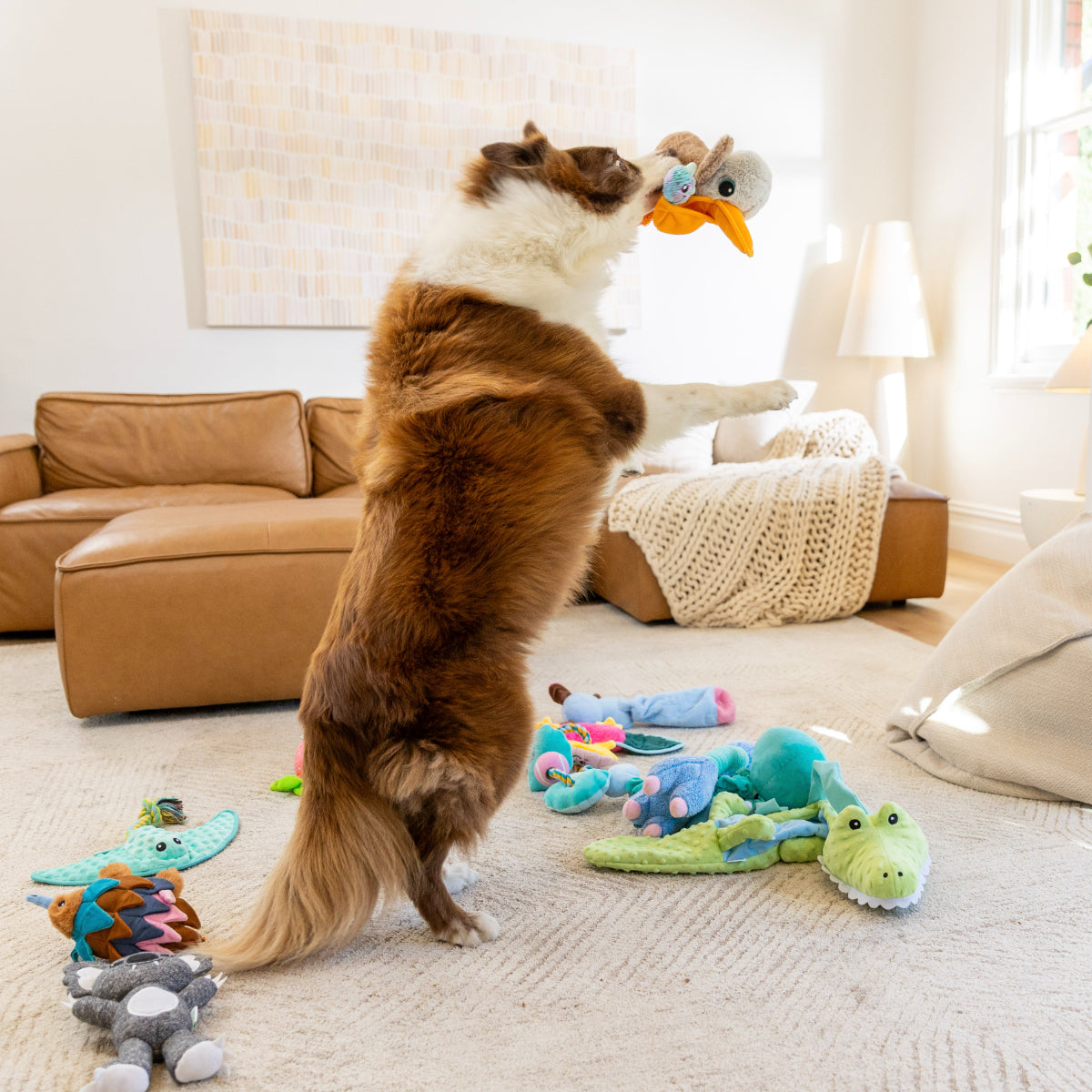 Lexi & Me Pelican Plush & Rope Dog Toy