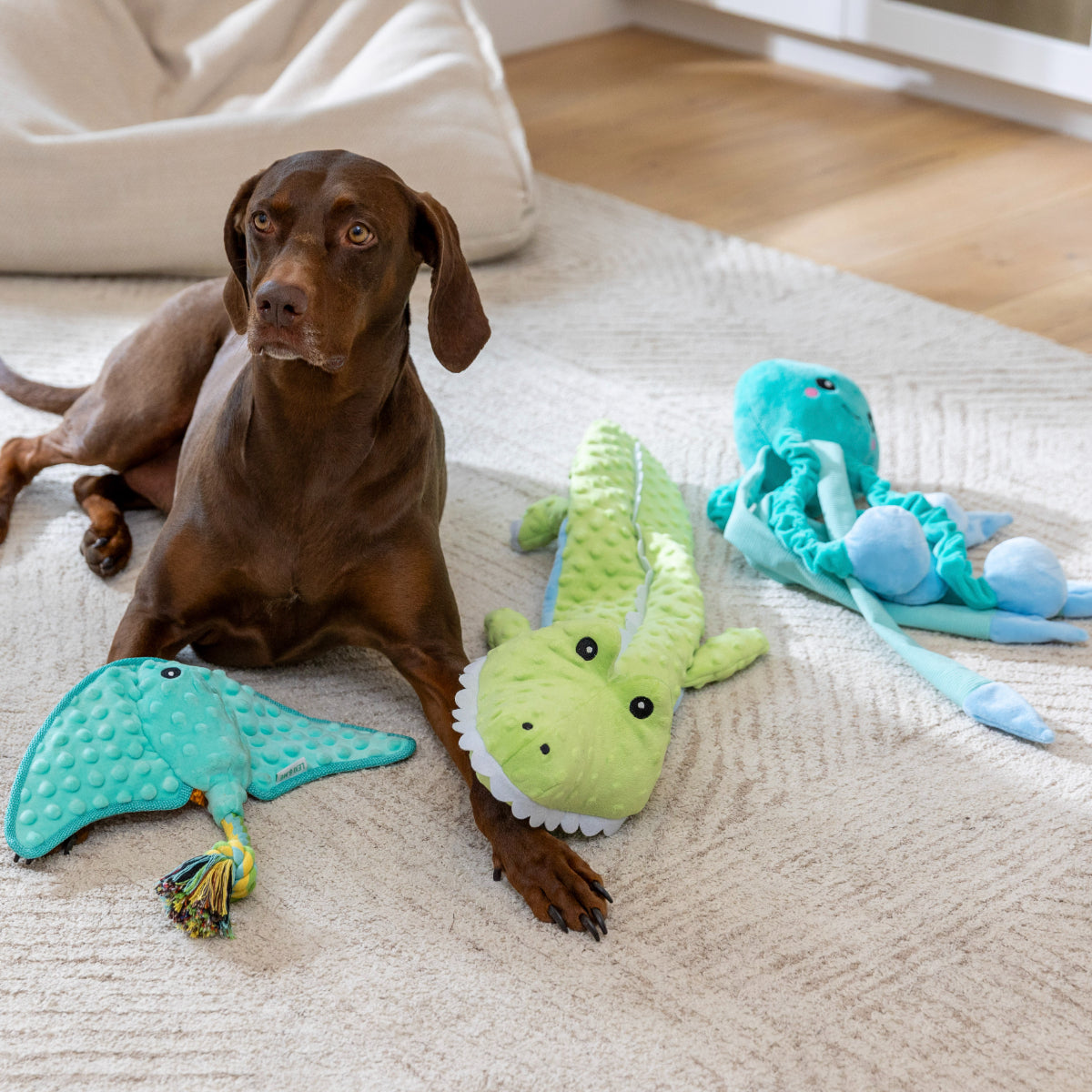 Lexi & Me Stingray Plush & Rope Dog Toy