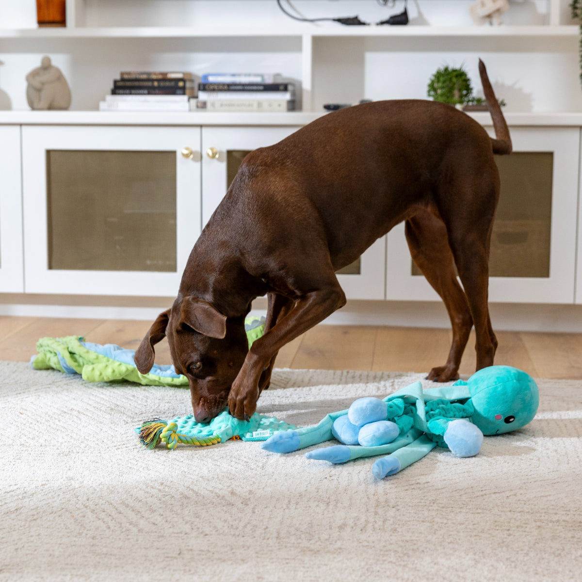 Lexi & Me Bungy Legs Octopus Dog Toy