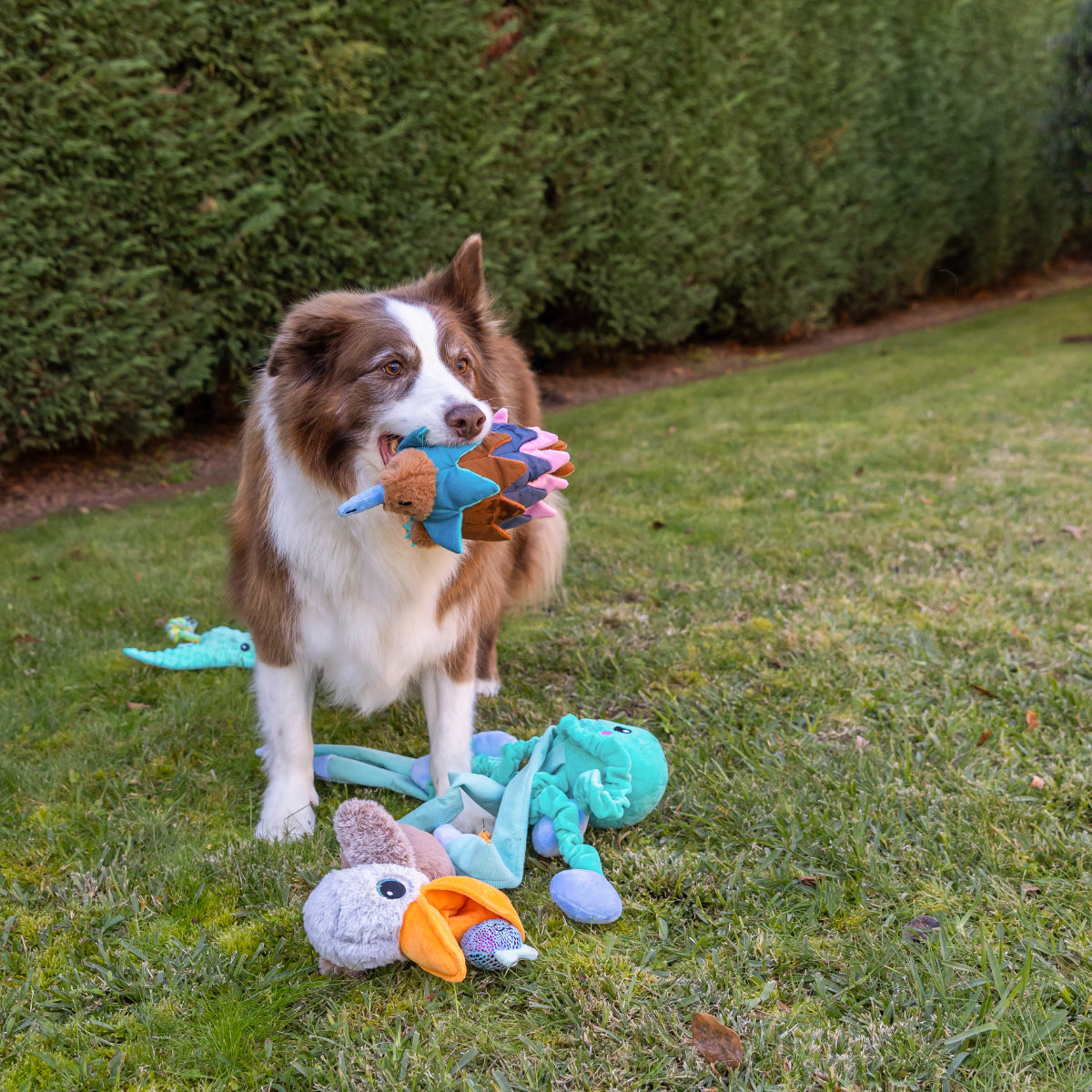Lexi & Me Snuffle Echidna Dog Toy