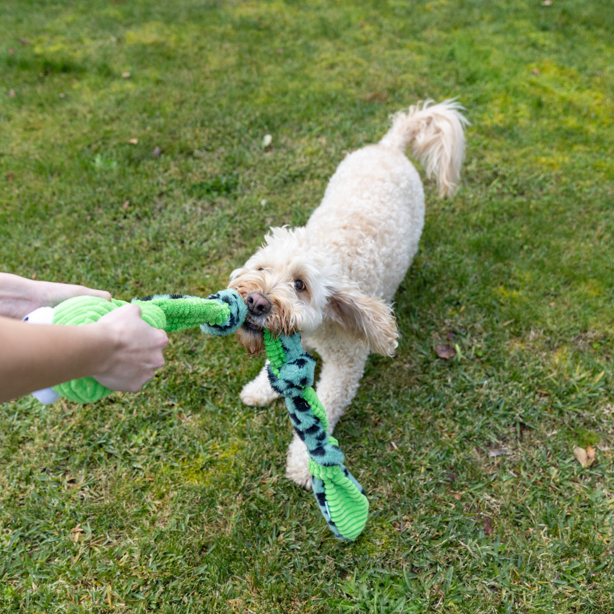 Lexi & Me Knot Rope Snake Dog Toy