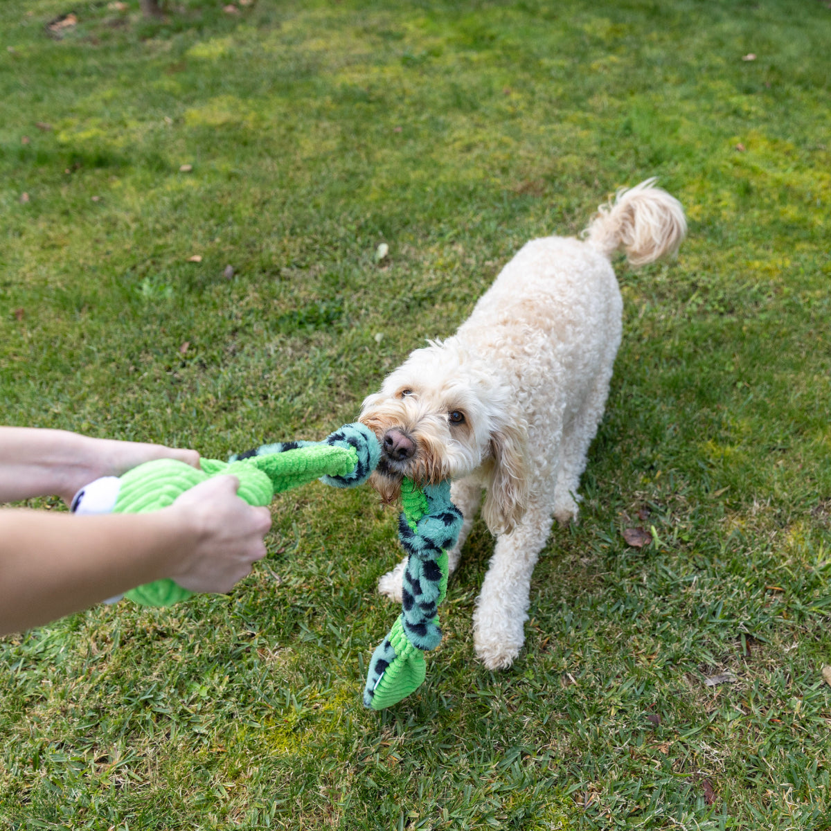 Lexi & Me Knot Rope Snake Dog Toy