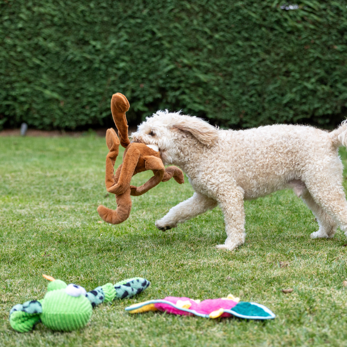 Lexi & Me Long Limb Kangaroo Dog Toy