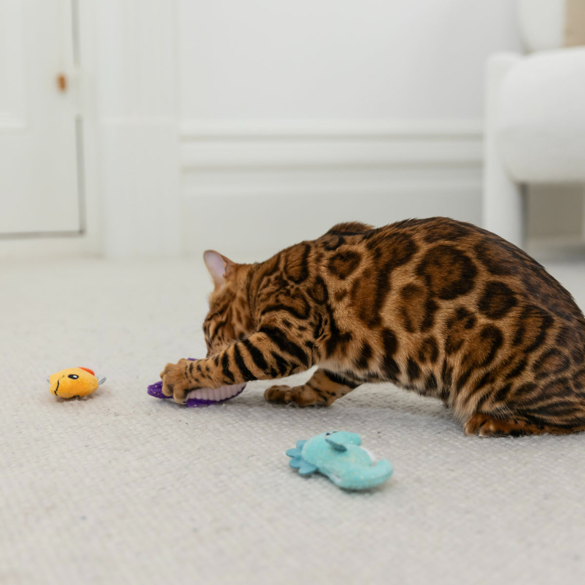 Lexi & Me Under The Sea Trio Cat Toys