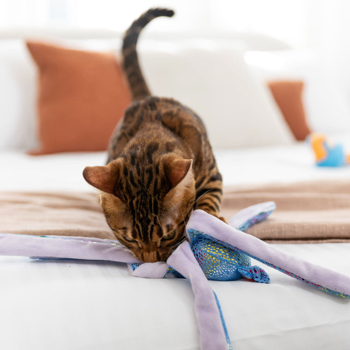 Lexi & Me Crinkle Catopus Cat Toy