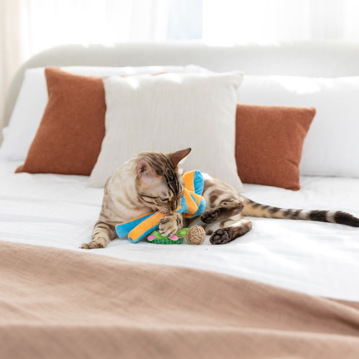 Lexi & Me Snuffle Knot Ball Cat Toy