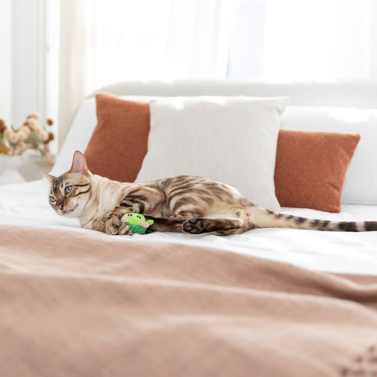 Lexi & Me Avocado with Ball Cat Toy