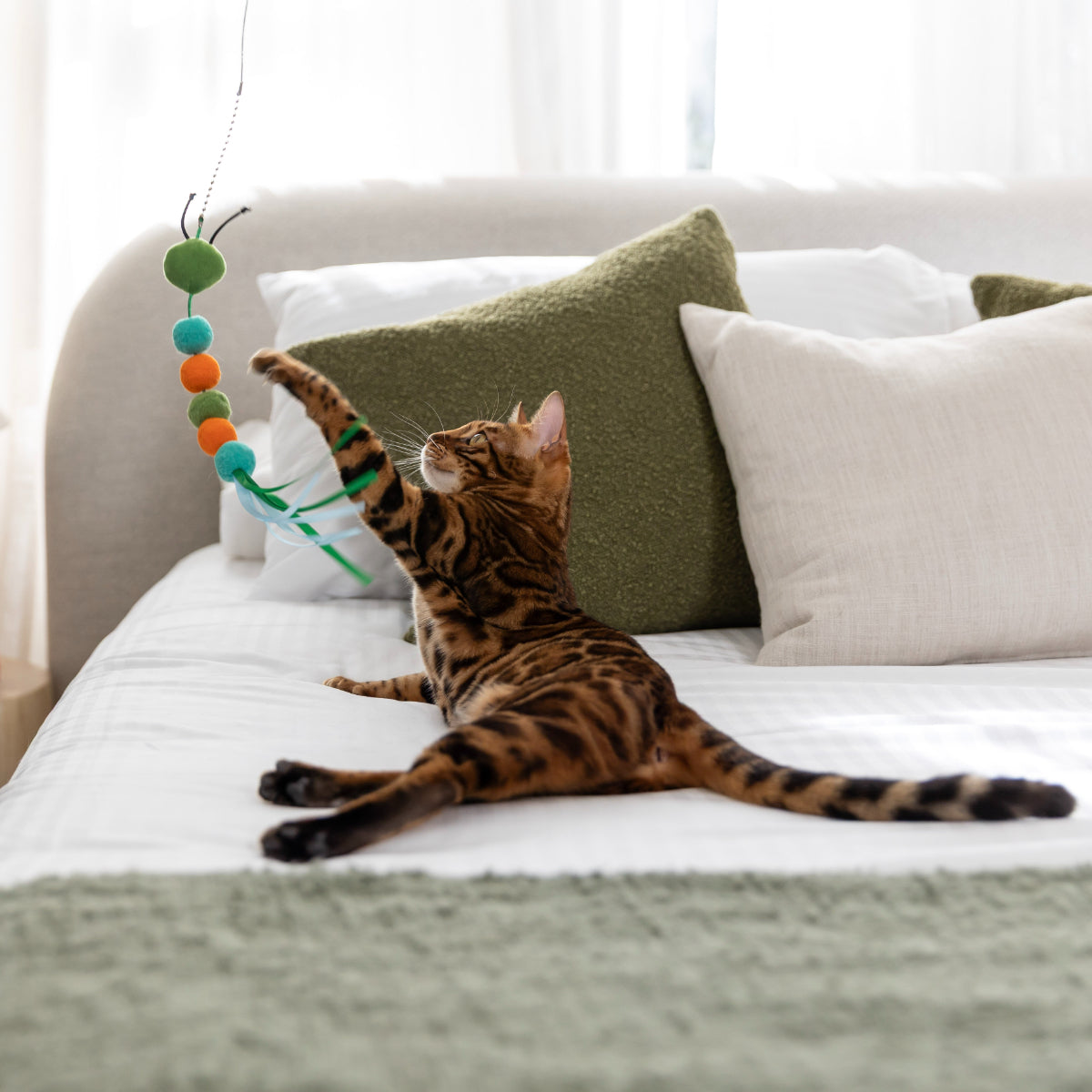 Lexi & Me 5-in-1 Critter Teaser Cat Wand