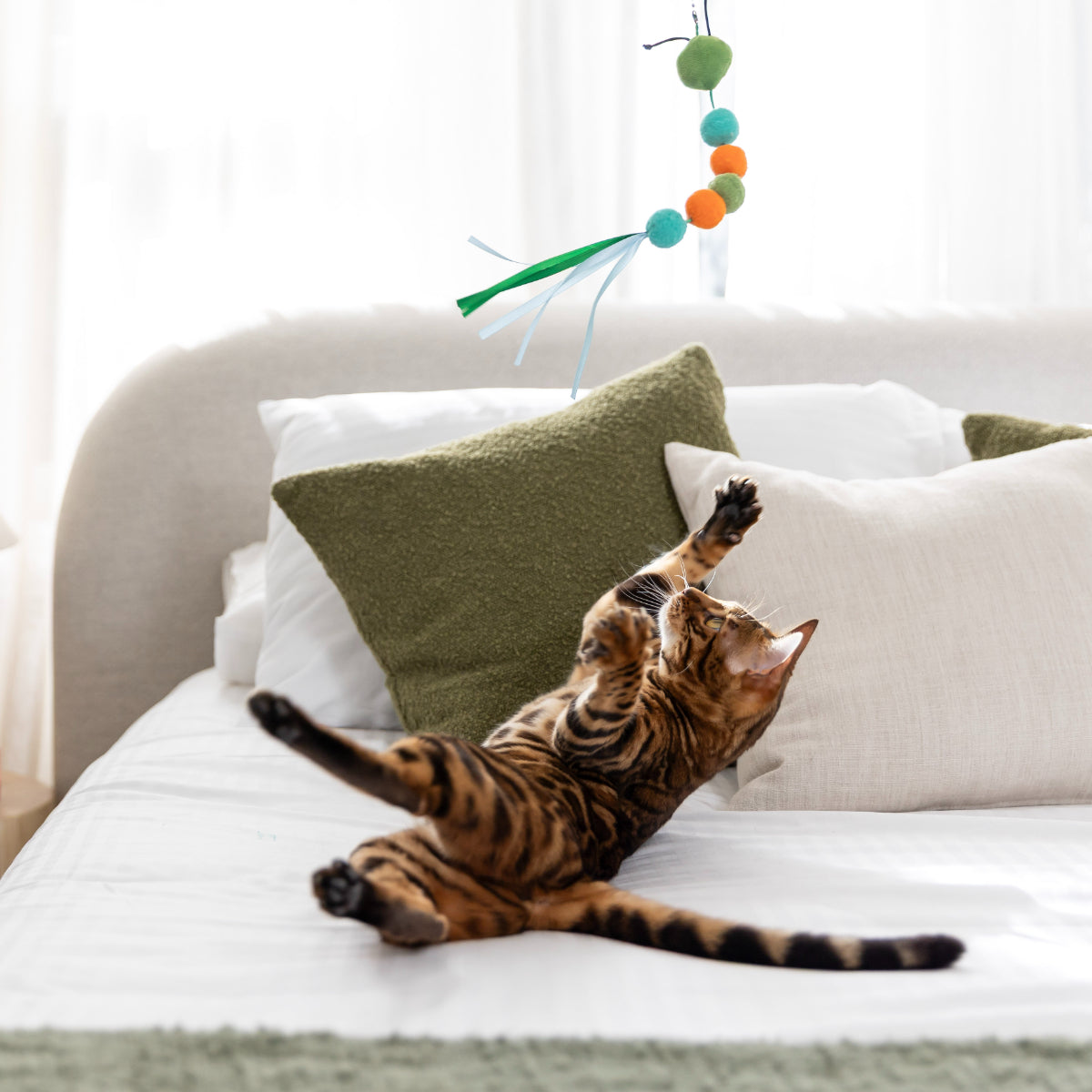 Lexi & Me 5-in-1 Critter Teaser Cat Wand