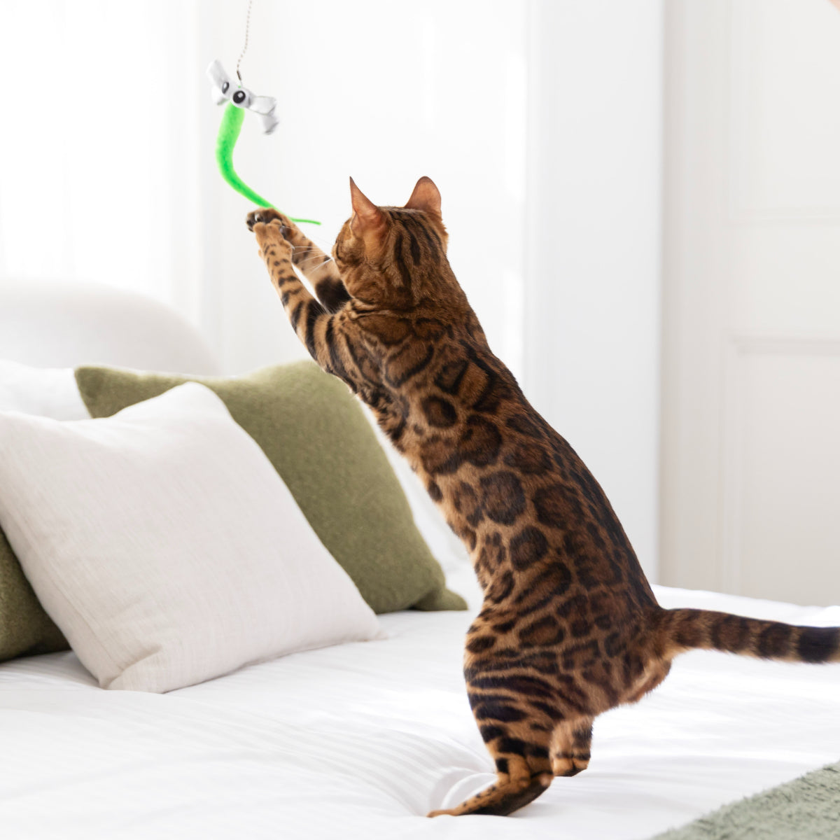 Lexi & Me 5-in-1 Critter Teaser Cat Wand