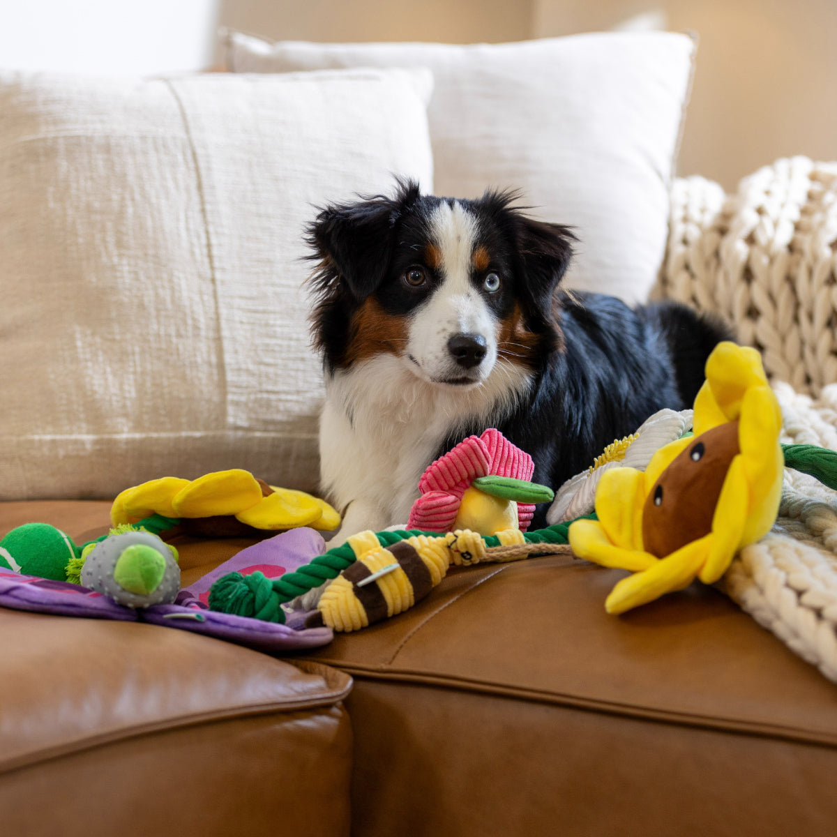 Lexi & Me Flower & Bee Rope Dog Toy