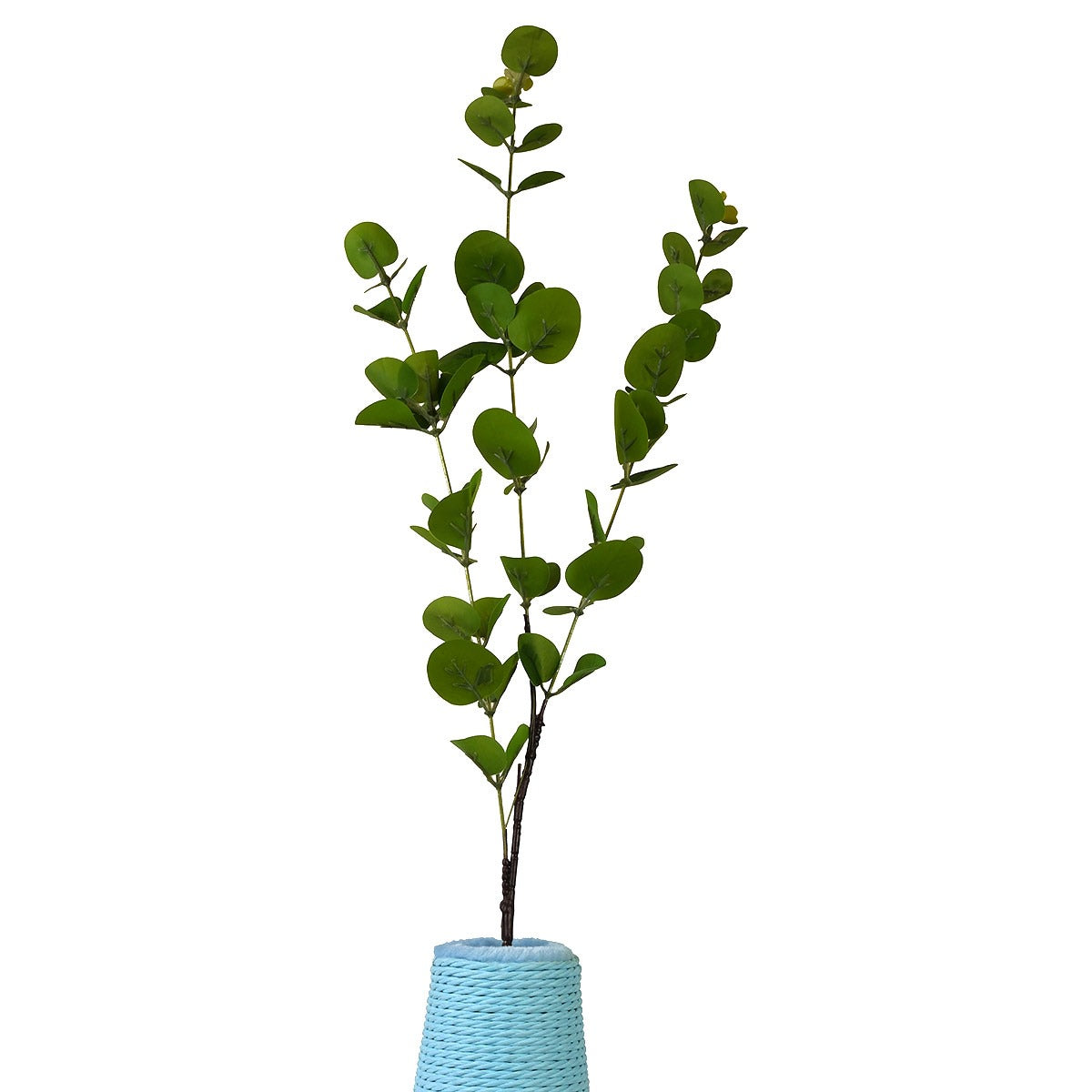 Petpals Flower Vase Cat Scratcher