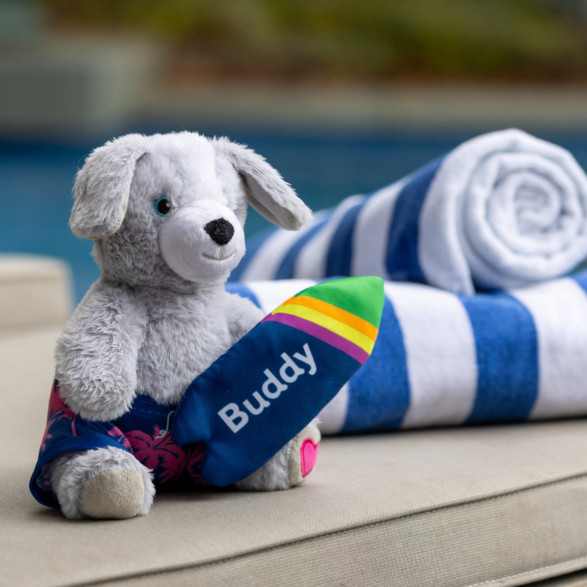 Petstock Foundation Surfer Buddy Dog Toy