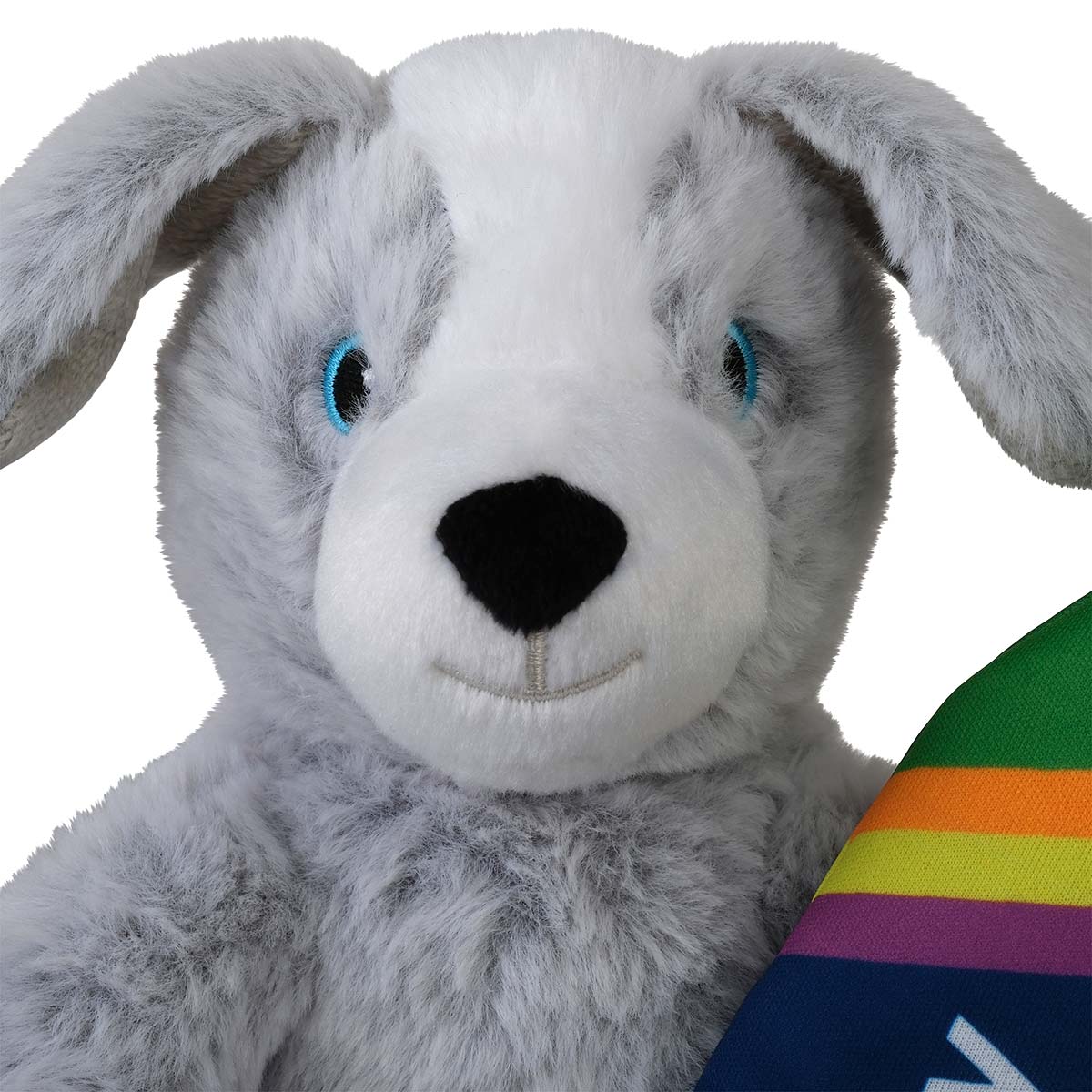 Petstock Foundation Surfer Buddy Dog Toy