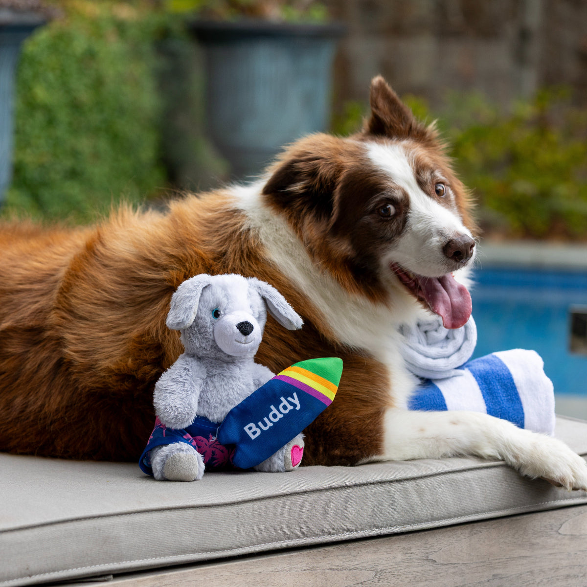 Petstock Foundation Surfer Buddy Dog Toy