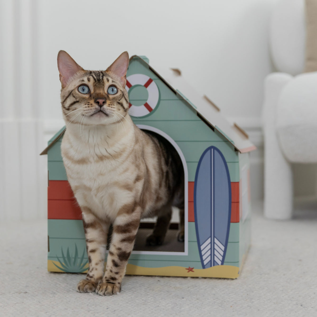 Lexi & Me Beach Box Cat Scratch Board