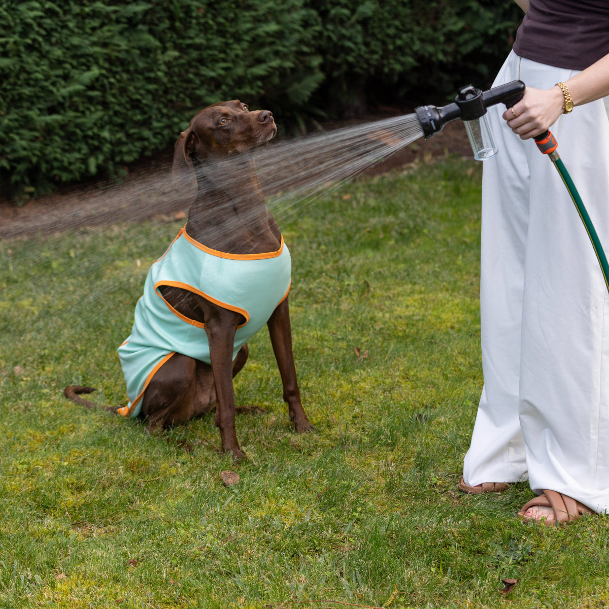 Lexi & Me Wash Hose Attachment