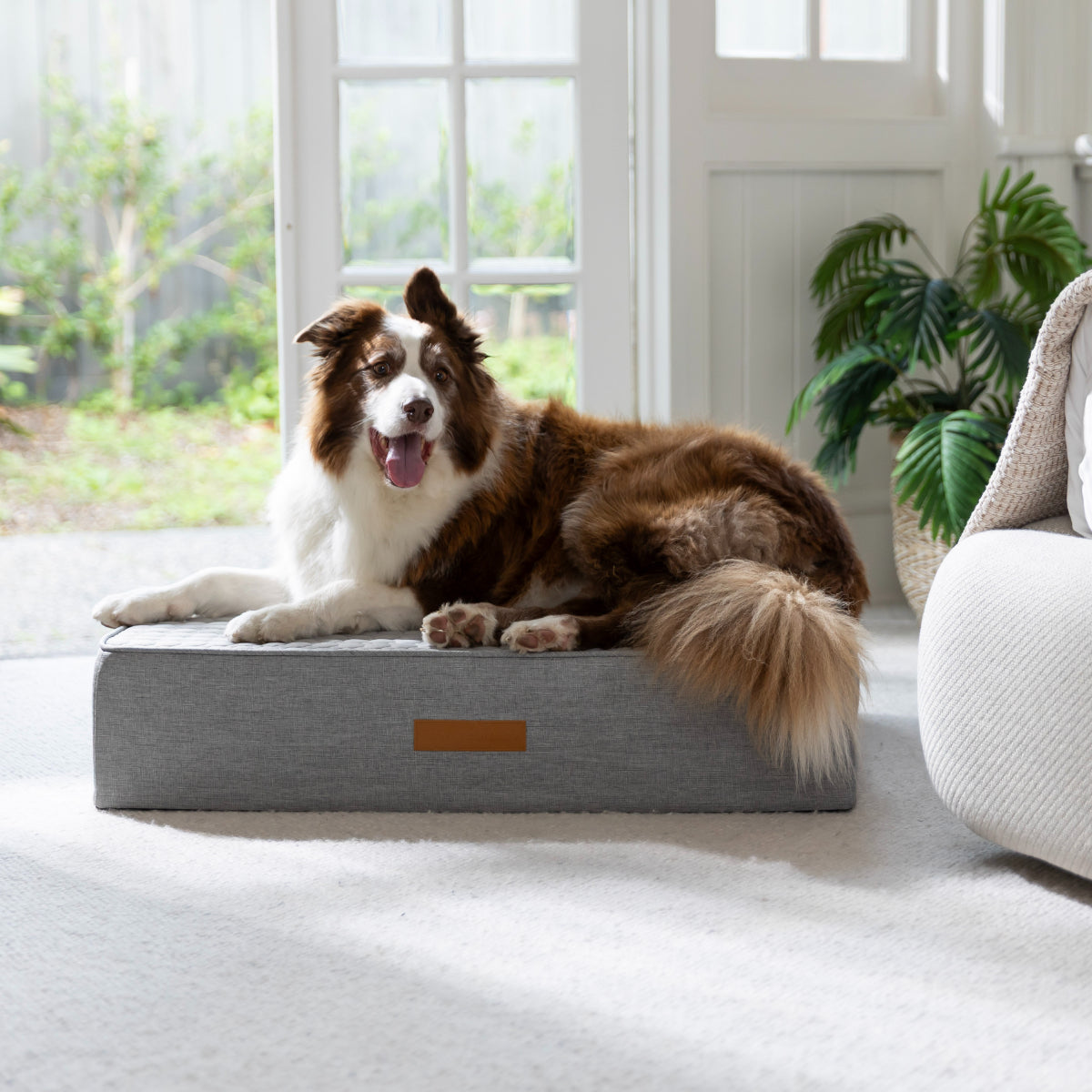 Buddy & Belle Orthopaedic Cooling Bed