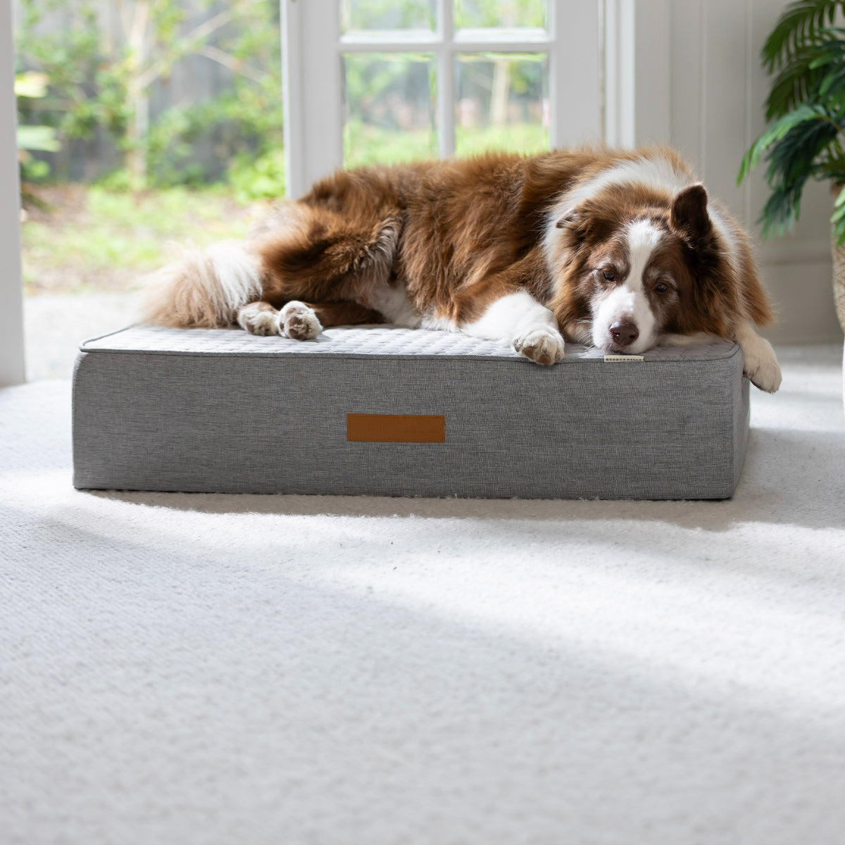 Buddy & Belle Orthopaedic Cooling Bed
