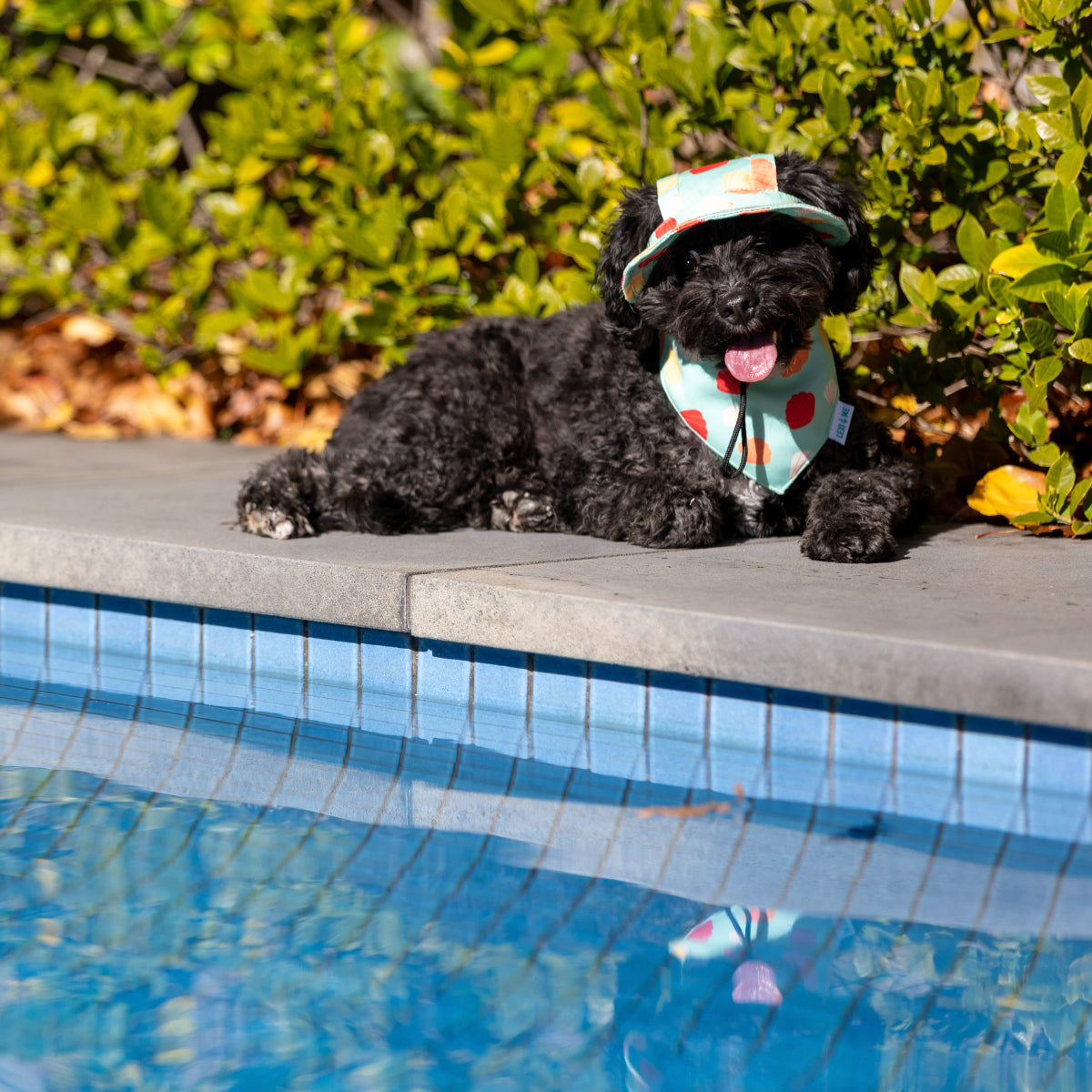 Lexi & Me Dog Shell Bucket Hat