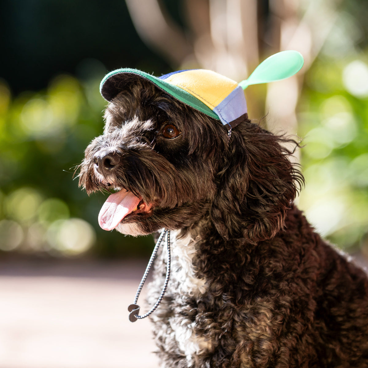 Lexi & Me Propeller Hat