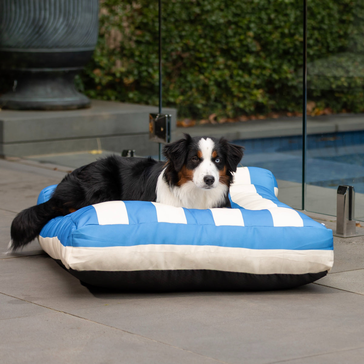 Lexi & Me Outdoor Pet Lounge Blue Stripe