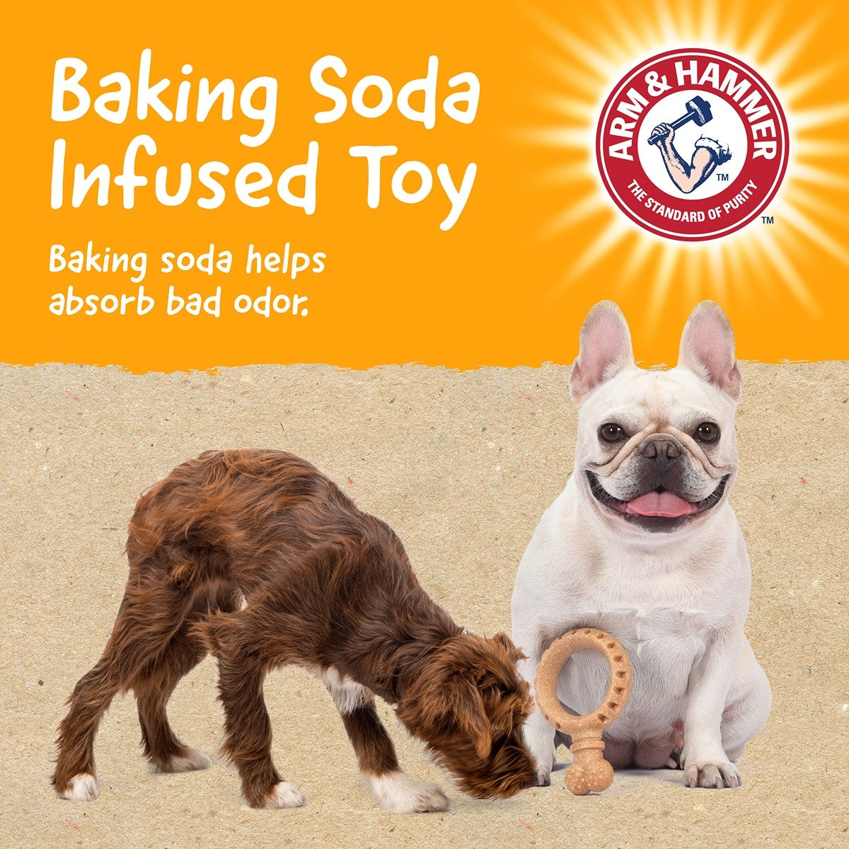 Arm & Hammer Barkies Ring Dog Toy