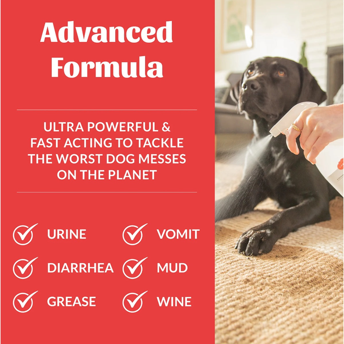 Skout's Honor Severe Mess Stain & Odour Remover for Dogs