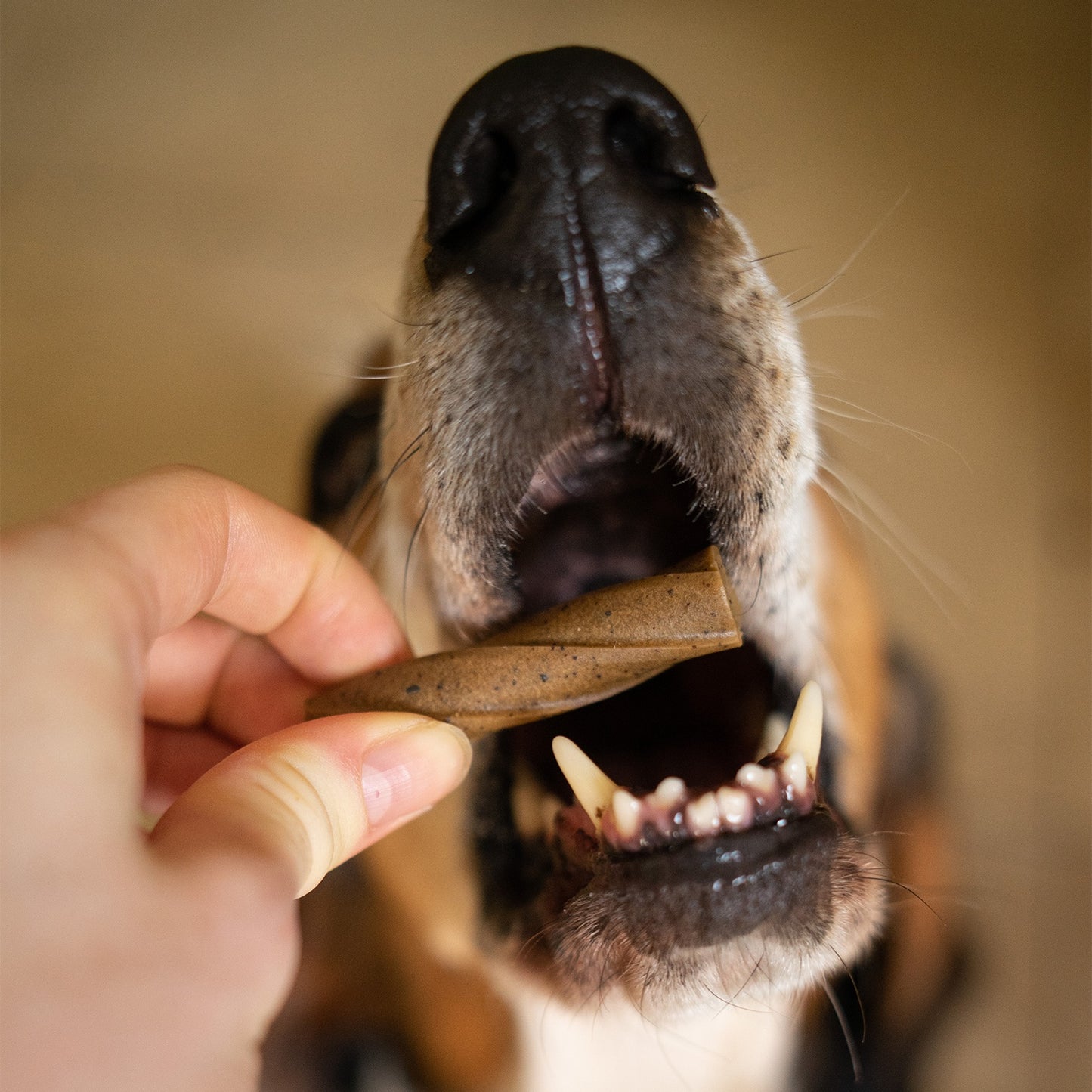 GoSmile Teeth & Gum Dog Supplement Sticks